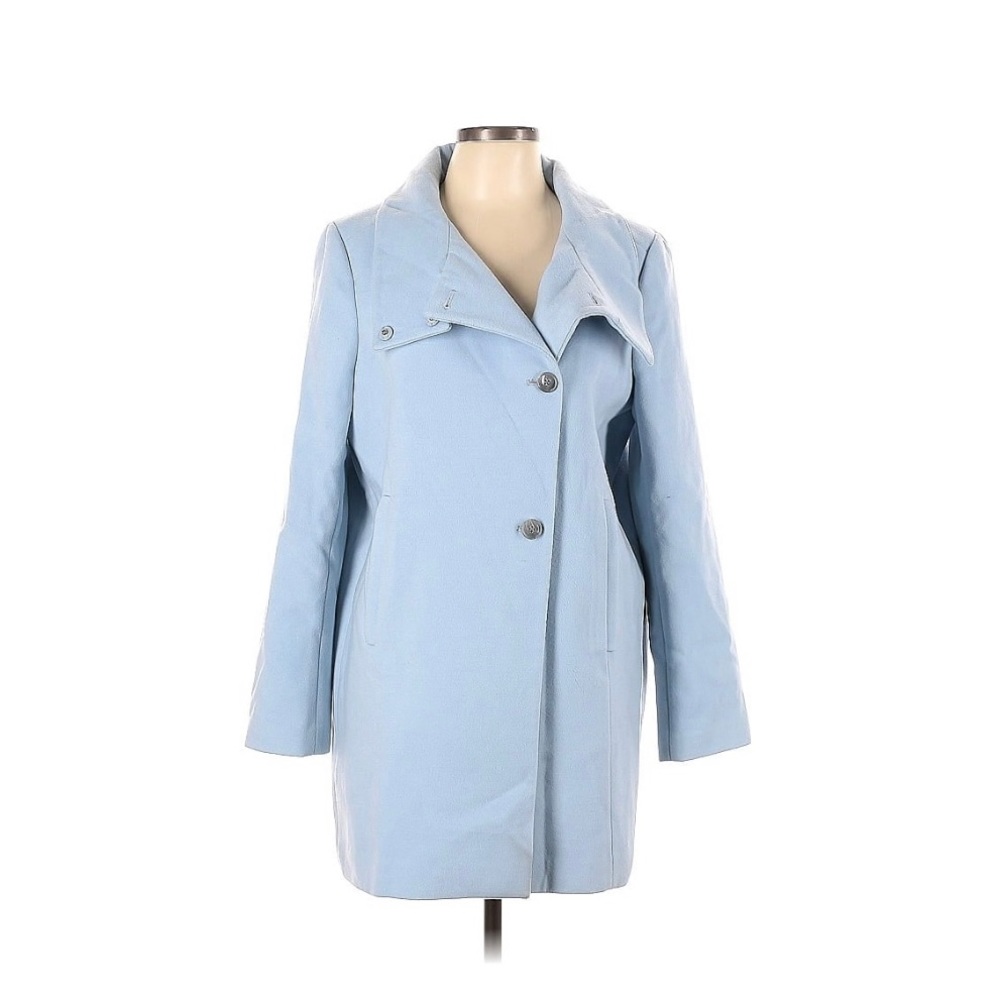 Ann Taylor Coat